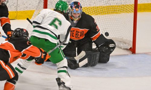 Boys hockey: Stanius’ early goal, Gabriel’s 35 saves power White Bear Lake over Hill-Murray in section final