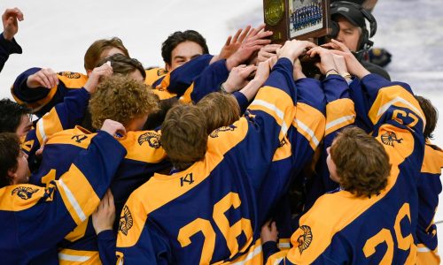 Check out the 2024 Minnesota boys hockey state tournament brackets