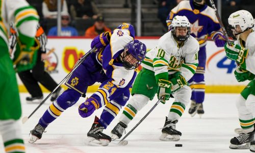 State boys hockey: Class 2A tournament primer