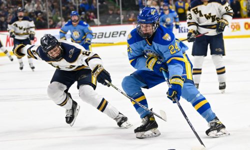 Class A boys state hockey: St. Cloud Cathedral 3, Hermantown 1