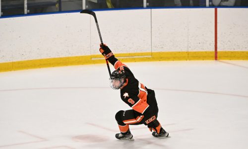 East Metro boys hockey player of the year: White Bear Lake’s Nolan Roed