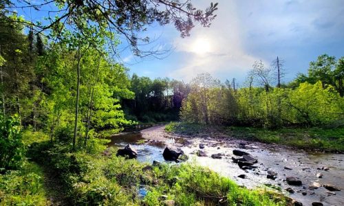Where will trout survive in warming North Shore streams?