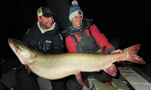 Minnesota DNR is rewriting its statewide muskie plan