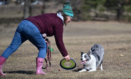 Twin Cities see earliest 70-degree day on record