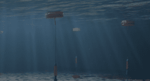 Ocean Harvesting to raise €500,000 for InfinityWEC Design Update and Sea Trials Preparation