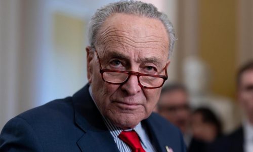 Top Democrat Schumer calls for new elections in Israel, saying Netanyahu is an obstacle to peace