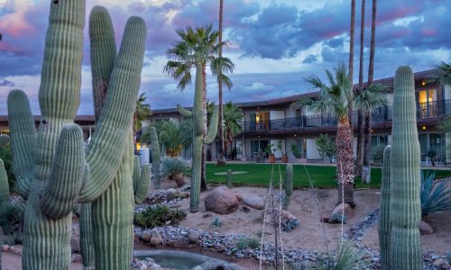 Amid a cactus landscape, these Arizona wellness resorts melt away life’s prickles