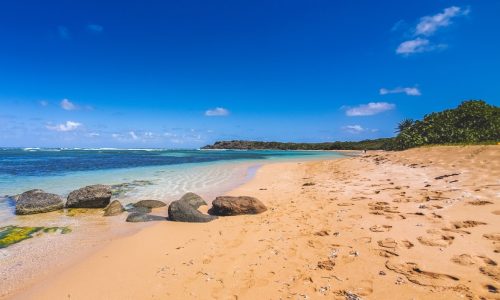 4 best beaches in Puerto Rico for hikers, private vibes and more