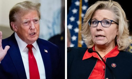 Trump Says Liz Cheney Should Be ‘Prosecuted’ for Destroying Jan. 6 Evidence