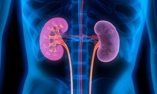 Twenty-Eight Types of Kidney Complications Reported Following COVID-19 Vaccination