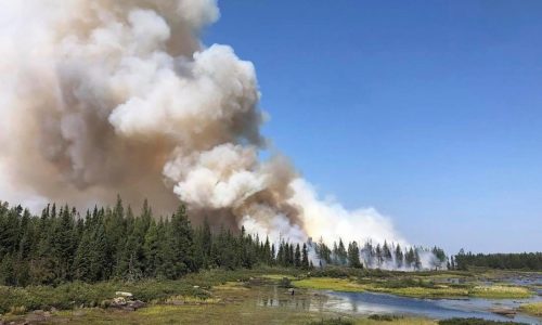 Minnesota’s dry weather leading to an increase in wildfires