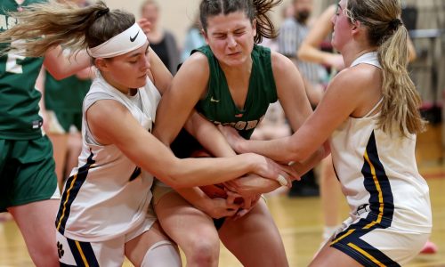 Notre Dame girls fight off game Nashoba