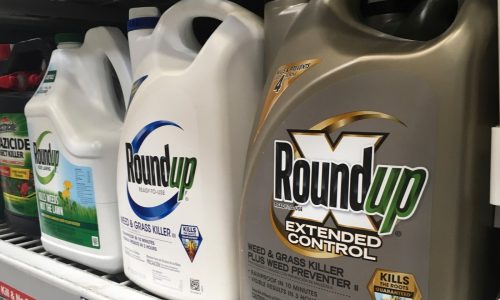 Ticker: Mistrial declared in lawsuit blaming landscaper’s cancer on use of Roundup weedkiller