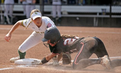 Div. 1-2 softball preview and players to watch