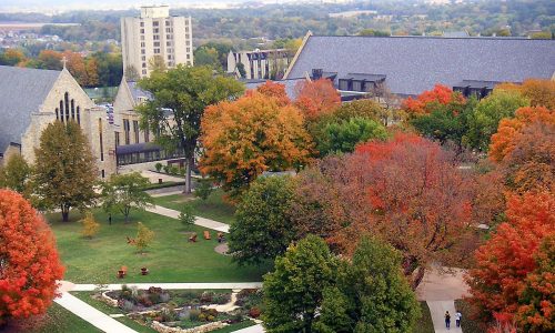 Pamela Paul: Let young people live with strangers