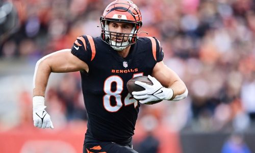 Patriots add tight end depth by signing ex-Bengals FA Mitchell Wilcox