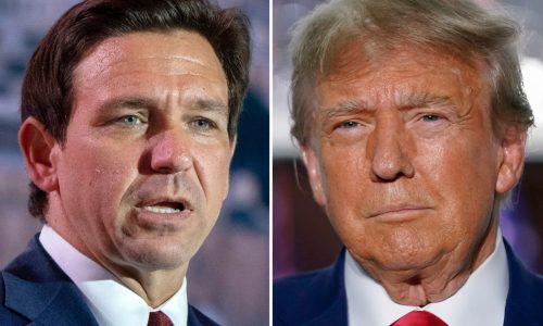 Trump and DeSantis meet to make peace