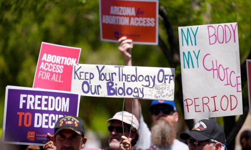 Lisa Jarvis: Idaho’s abortion ban is based on legal delusion and medical myth