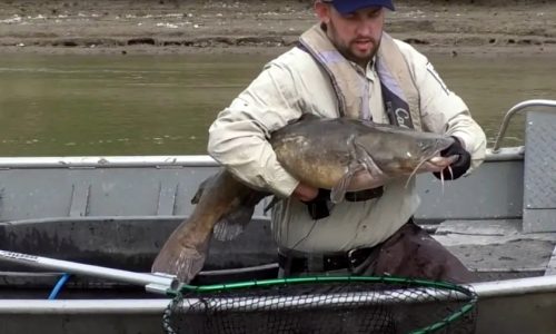 Want to catch and release big fish with minimal harm? DNR has tips.