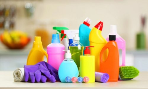 Common Household Chemicals Attack Critical Brain Cells, Research Warns