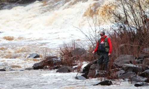 North Shore streams, and their steelhead trout, are running