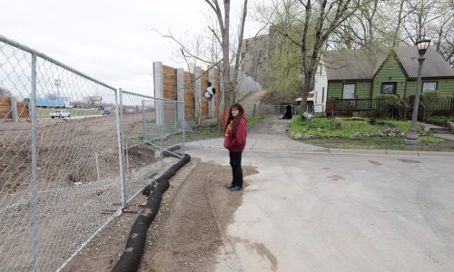 St. Paul resident along path of Gold Line has asked Met Council to buy her out