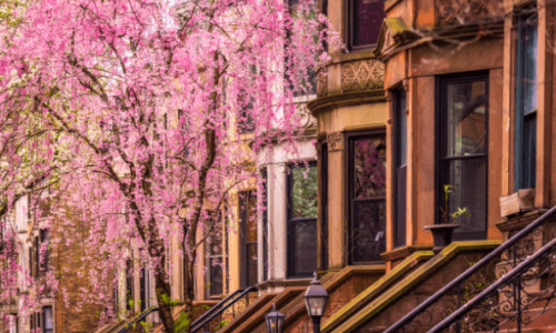 Spring in Brooklyn: Best Activities and Fun