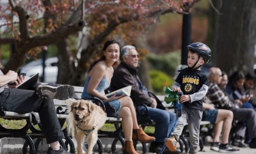 Frost likely behind for Boston with warm weather ahead, NWS says