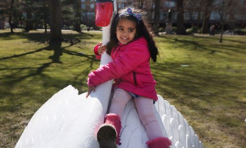 Swan Boats assemble! Opening day for iconic Boston staple is coming up