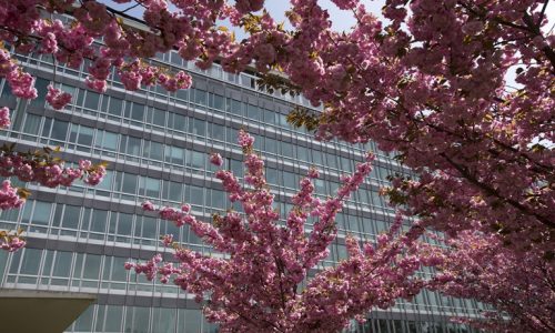 News from the WHO: Leading health agencies outline updated terminology for pathogens that transmit through the air https://ift.tt/FAXuInj 

 April 18, 2024 at 05:00AM