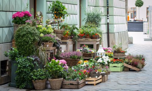 How To Start A Profit-Driven Online Flower Business In 2024?