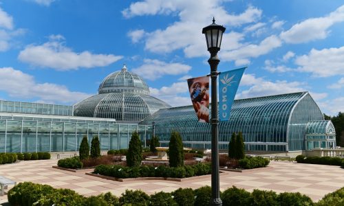 Como Friends hits $50 million milestone after 24 years of support for Como Park Zoo & Conservatory