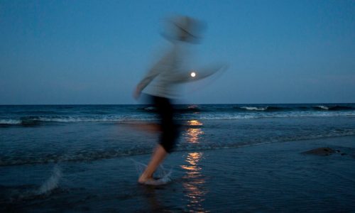 Outer Cape Cod House race draws two Democrats from Orleans