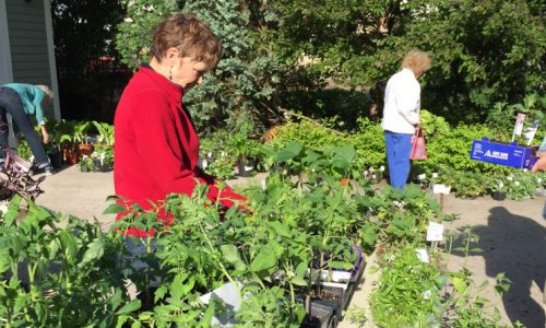 Annual Stillwater plant sale set for May 18