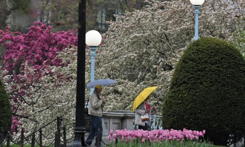 Keep the umbrellas handy – you may want one every day this week, NWS says