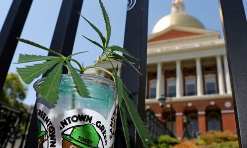 $187,000 pot leadership  job opens up to nationwide search