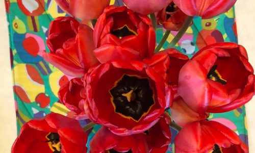 Sunday Bulletin Board: Bird people: Do you suffer from incommunipotestatum falcolumorbus?