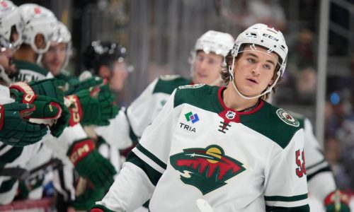 Wild missed playoffs, but some of their top prospects had big postseasons