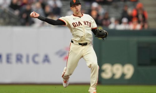 East Longmeadow’s Nick Ahmed grateful for chance to finally play at Fenway Park