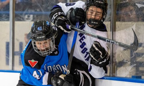 Toronto chooses Minnesota for PWHL first-round playoff series