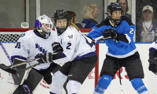 Women’s hockey: Minnesota loses fourth straight, again fails to clinch PWHL playoff spot