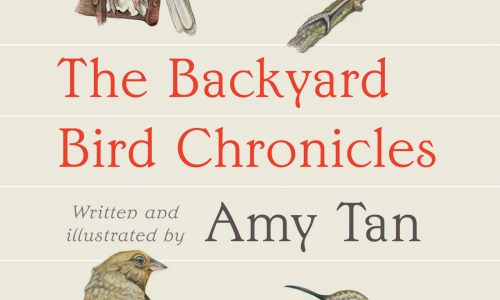 Amy Tan shares her “Backyard Bird Chronicles”