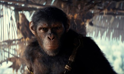 Franchise evolves with ‘Kingdom of the Planet of the Apes’