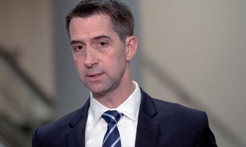 Parker: Add Tom Cotton to Trump’s VP shortlist