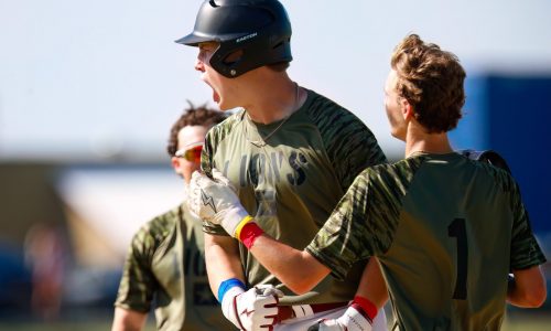 Friday’s high school roundup/scores: On warm day, Mylee Ramer fans 18 batters to power Bishop Feehan softball team