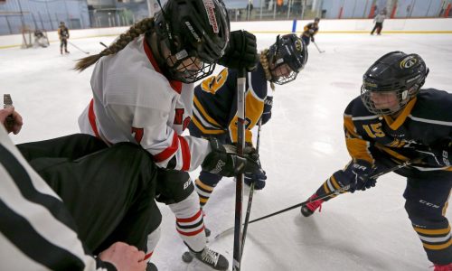 Boston Herald girls hockey All-Scholastics and league All-Stars