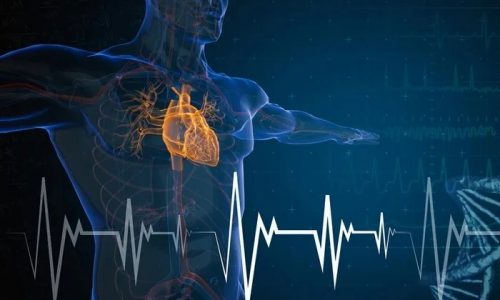 Heart Failure Mortality Rates Surge to Highest Levels in 20 Years