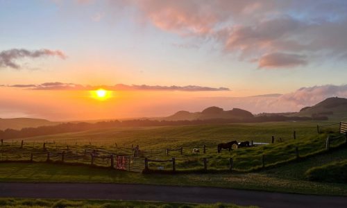 Skip the luau. Party like a cowboy in Hawaii’s paniolo country instead.