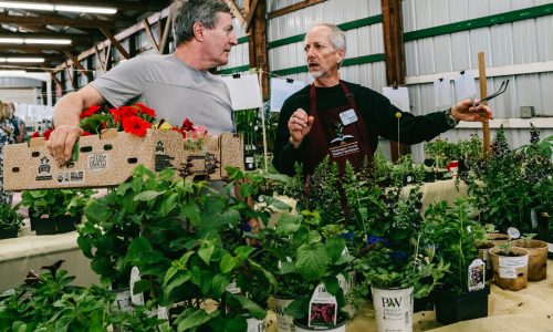 Washington County Master Gardeners to host plant sale and garden expo on May 18