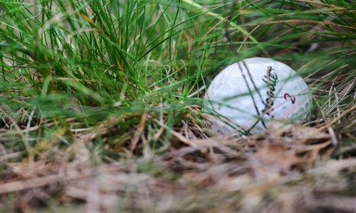 Gophers golf: Stillwater’s Ben Warian punches ticket to NCAA Championships